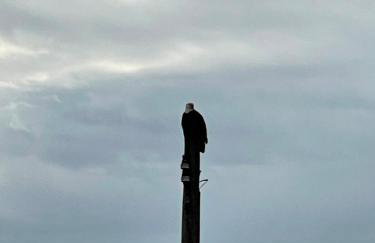Private Beach Front house Newport, New Jersey - Foto 19