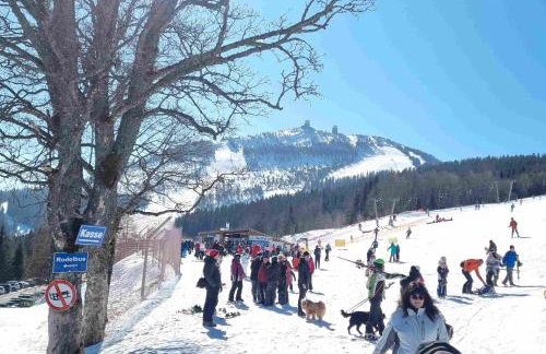 Apartment am Nationalpark Bayerwald - Foto 45