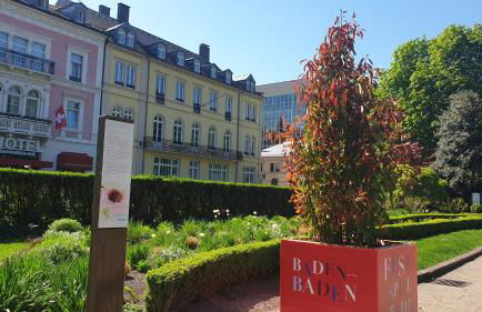 Family Suites & Parking - Foto 34