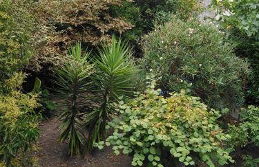 Maison DELMAS, l'Oustal du Recantu - Foto 31