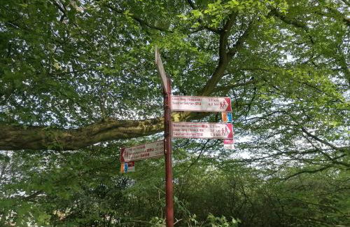 Ferienwohnung Waldblick - Foto 9