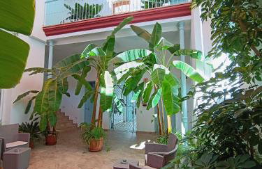 Apartamentos turísticos CASA de los BALCONES - Photo 24