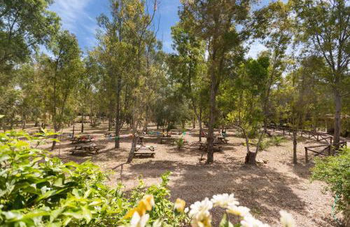 Villa Pizzi by Perle di Puglia - Foto 62