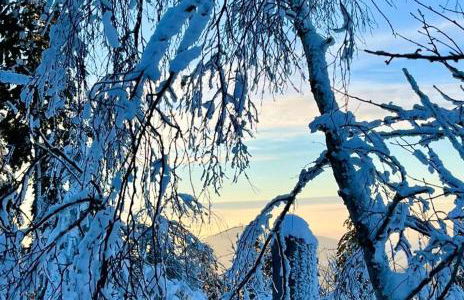 Schnecknhaisl - Foto 17