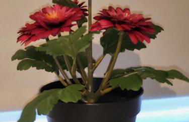 Home Like Yours - Foto 49