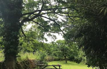 18th Century Cottage in Heart of Dorset - Foto 31