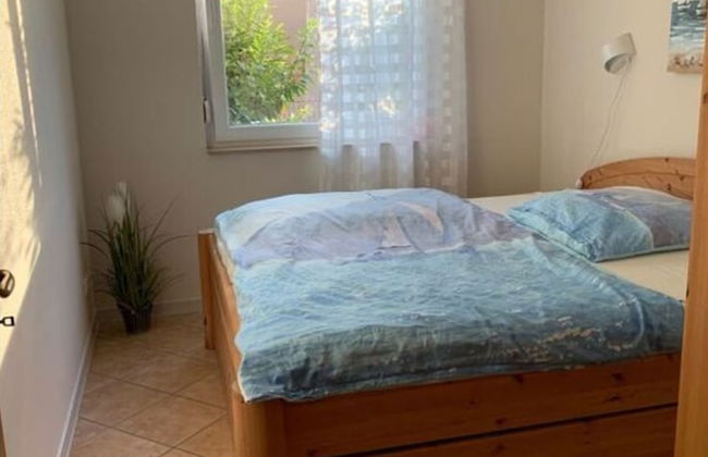 Wood in Zempin/usedom - Foto 2