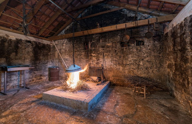 Villa Petrovi Dvori - Foto 29