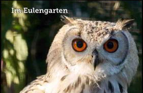 Wohnen im Eulengarten - Foto 27