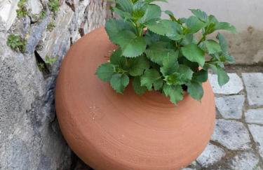 Mountain and Sea view - Foto 24