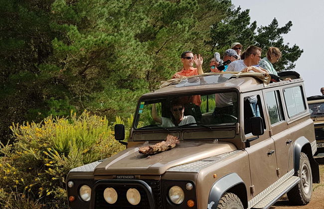 Observation de cétacés + Balade en 4x4 - Photo 5