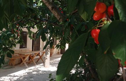 VillaTzer - Traditional house with fireplace and garden - Foto 27