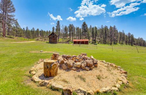 Remote Custer Cabin with Fire Pit and Near State Park! - Foto 24