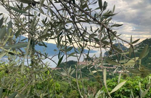 Casa Amici - Foto 43