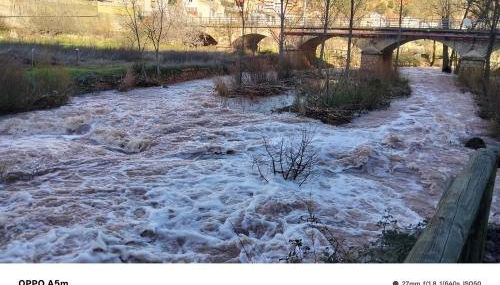 Los Gavilanes BOGARRA - Foto 4