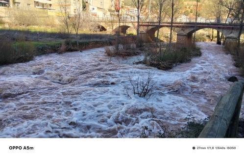 Los Gavilanes BOGARRA - Foto 4