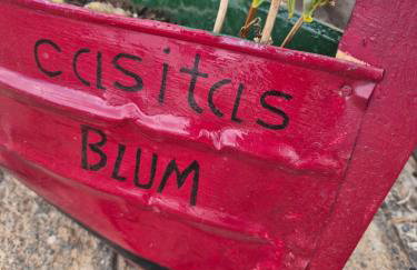 Casita Blum - Foto 18