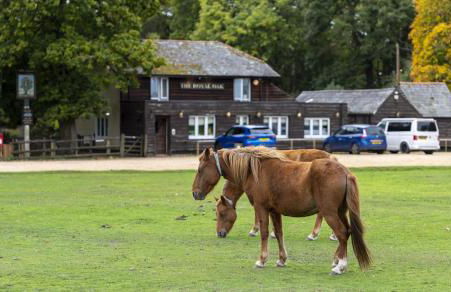 Little Exbury - Foto 49