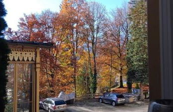 Studio-Appartement Königs-TRaum Berchtesgaden - Foto 15