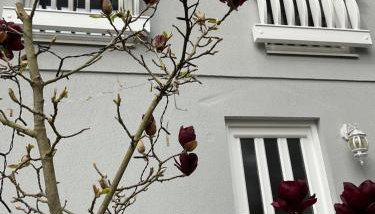 Waldtraum Wandlitzsee - Foto 4