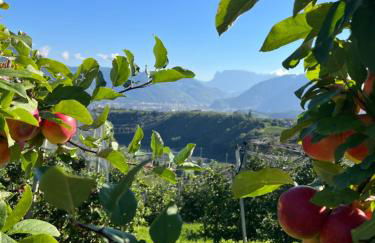 Weingut Gasshof - Foto 59