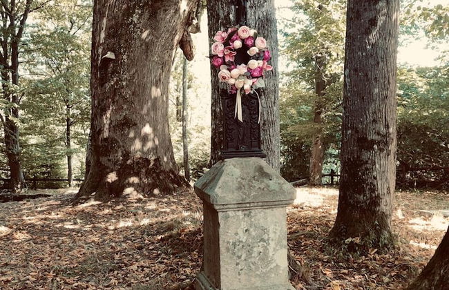 Korona Bieszczad Premium Apartments - Foto 66