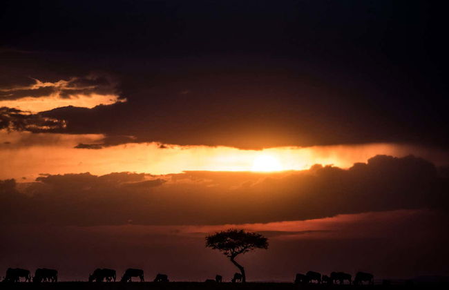 Tour privado de 9 días por el norte de Kenia - Foto 6