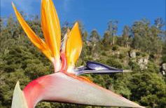 Casa Avós & Netas, Fantastic View, Near the Nature! - Foto 32