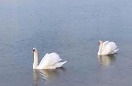 Venetton Garden House Corfu - Photo 46