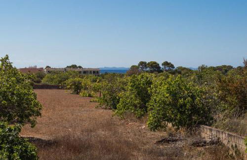 Short De Son Fideu - Foto 27