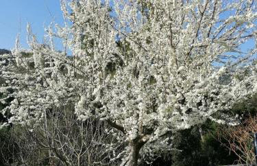 MASIA CAN SUNYER AGROTURISMO - Foto 2