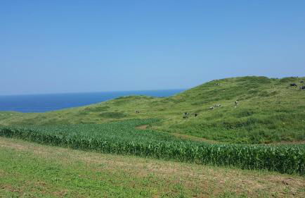 Apartamentos Gloria-patchwork-Ubiarco - Foto 52