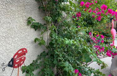 Amazing Grace Vacation Home - Foto 36