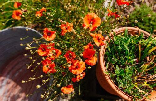 Apartamenty na Pastwisku - Foto 73