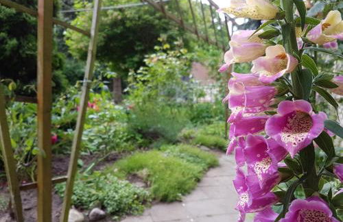 Doppelhaushälfte Ostwind vom Naturhof Usedom - Foto 34