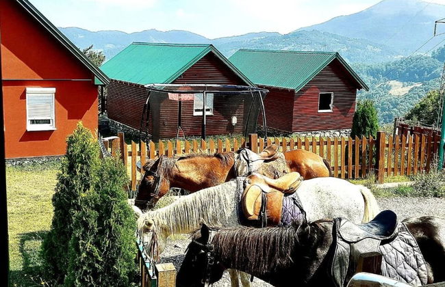 Eco Village Mojkovac - Foto 31