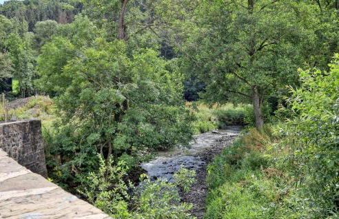 Lovely Apartment In Irrhausen With Sauna - Foto 32