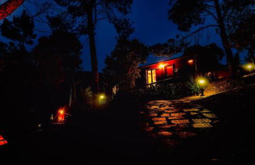 Arrabia Bunga Douro - Foto 24