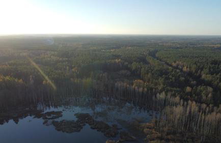 Mazurski Domek Papy Smerfa plaża pomost jezioro prywatny staw gospodarstwo pasieka - Foto 37