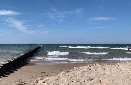 Ferienhaus Storchenwiese, Wald, Strand, Natur - Foto 13