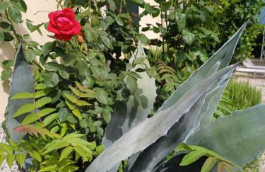 Dimora Borgo Gaon - Casa Elios con wi-fi e 3 bagni - Foto 41