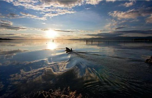 Le Rondini - Photo 25