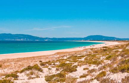 Setúbal - Central Studio - Foto 6