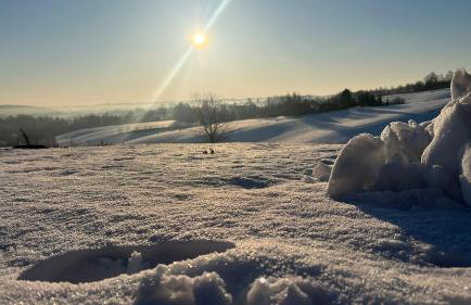 W Kręgu Natury - Foto 70