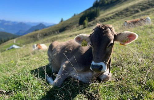 Villa am Goldbach - Foto 31