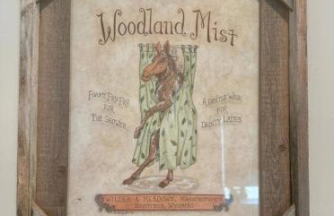 Amazing, Sunny, and Spacious! Steps to Campus! - Photo 24