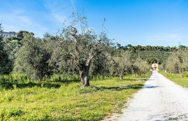 Casa di Allegra Terme di Venturina - Foto 20