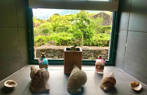 Adega da Prainha - Photo 16