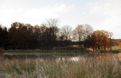 Wald-Apartment - Foto 64