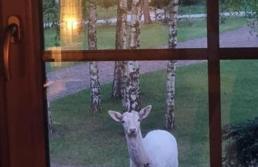 Zacisze Jurajskie - Foto 5